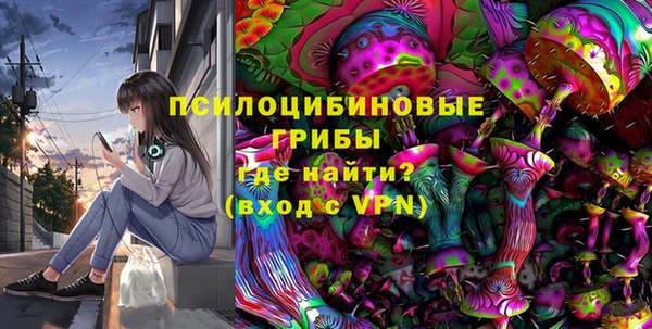 PSILOCYBIN Аркадак